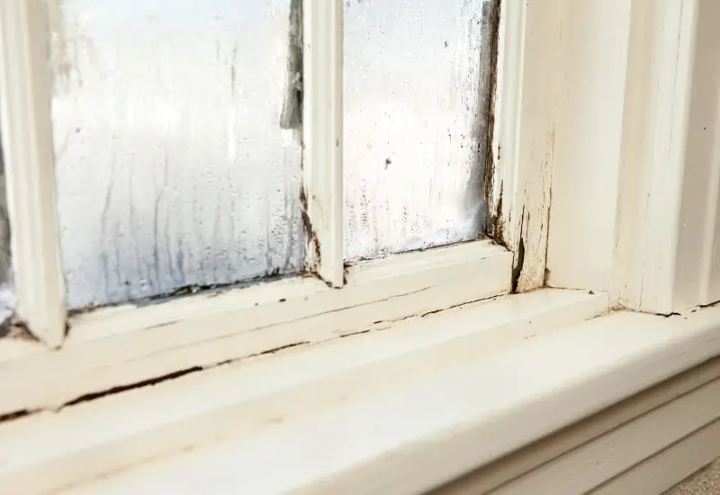 How to Replace Rotted Wood Around Window