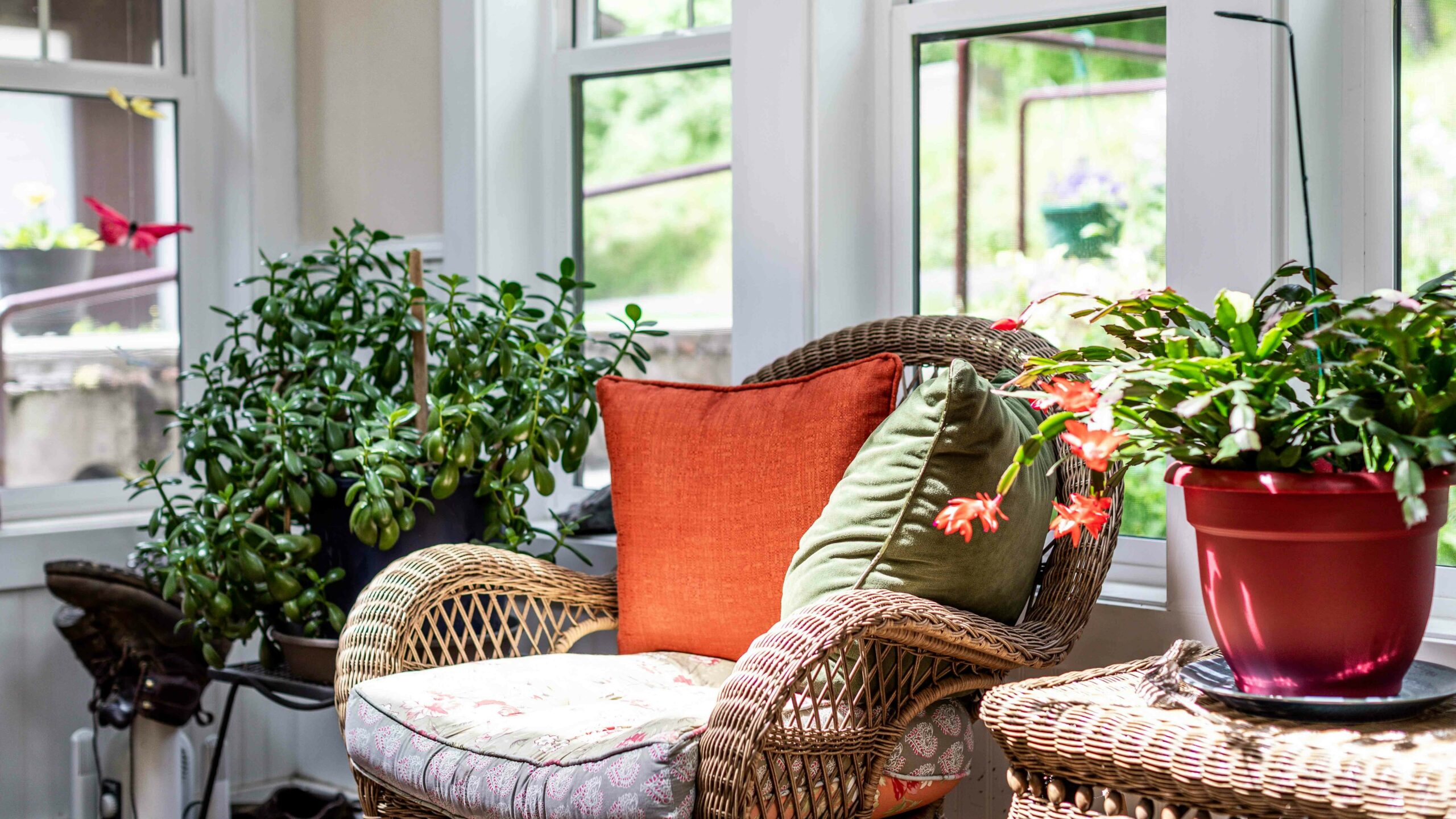 Sunroom with comfortable chair and plants